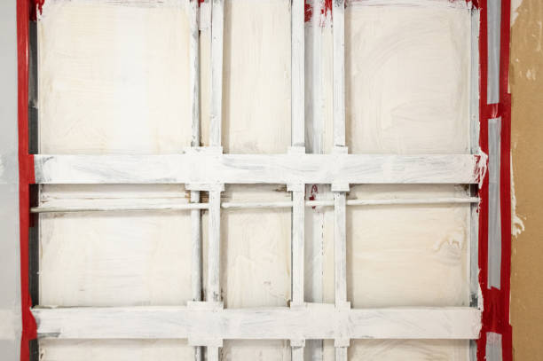 Best Asbestos and Lead Testing During Mold Inspection  in Questa, NM